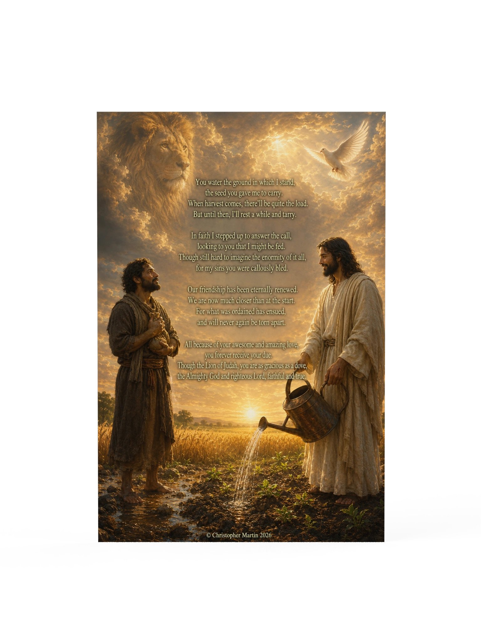 Abundant provision product image (1)