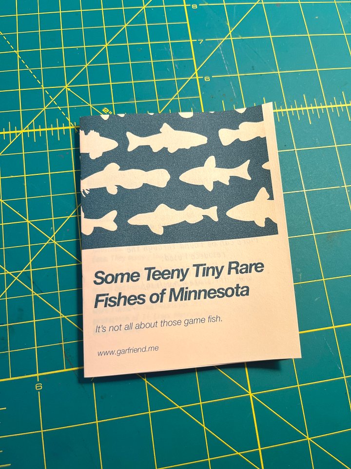 Some Teeny Tiny Rare Fishes of Minnesota zine product image (2)