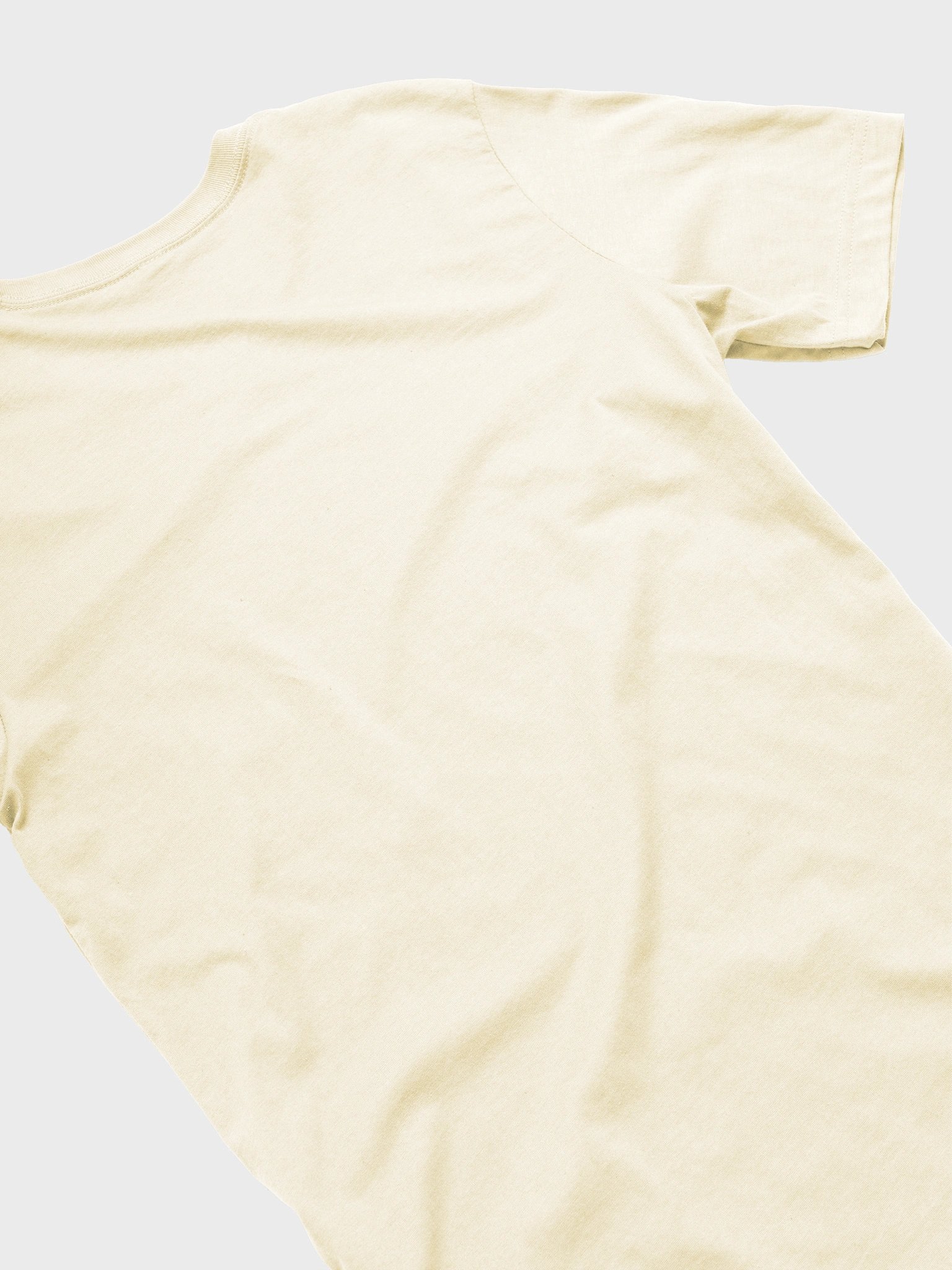 Therapist's Walk T-Shirt product image (4)