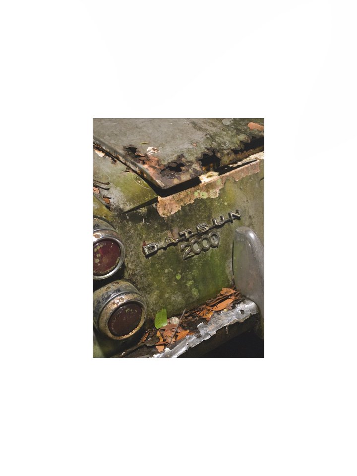 Legacy in the Leaves Datsun 2000 product image (3)