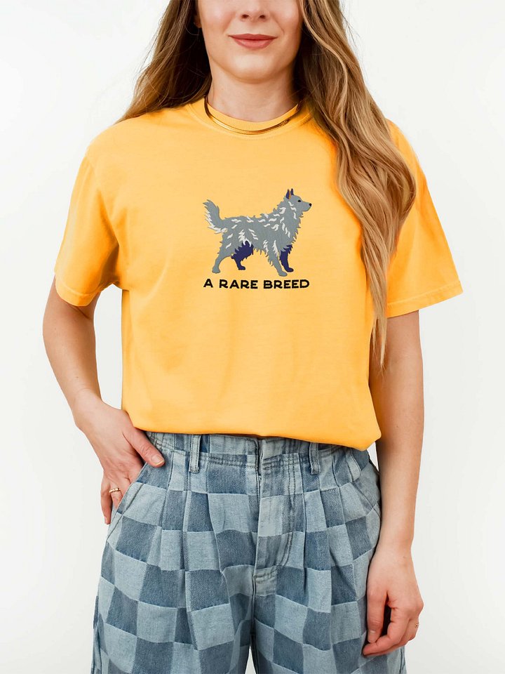 A Rare Breed T-Shirt(Embroidered) of a Hungarian Mudi(Gray) product image (2)