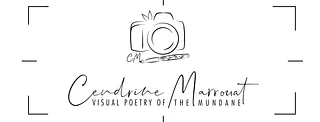 Cendrine Marrouat - Artist