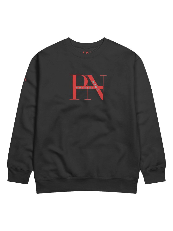 PN Patriotic Stylized Sweatshirt product image (1)