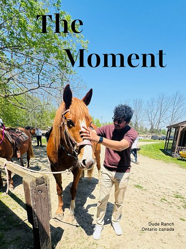 Peace feels a lot like riding through the wind with a horse beside you 🐎🍃 

#ronakabhattrz #ronakbhattrz #HorseRiding #horsel...