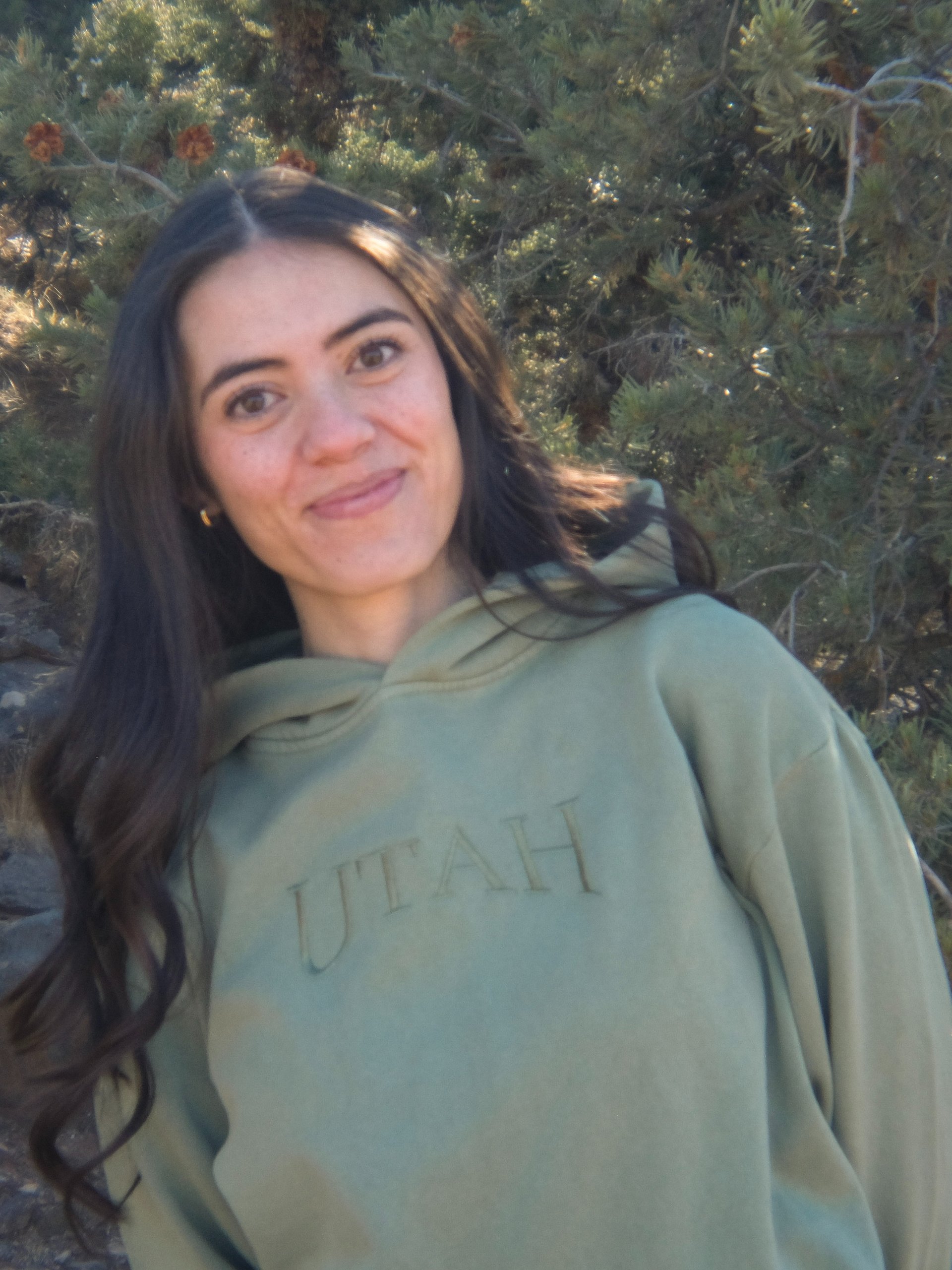 Utah Embroidered Hoodie product image (2)