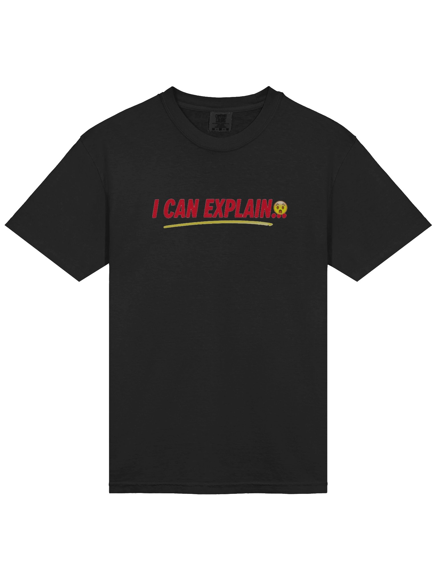 I CAN EXPLAIN Tee | Holiday Chaos Edition | Comfort Colors 1717 product image (5)