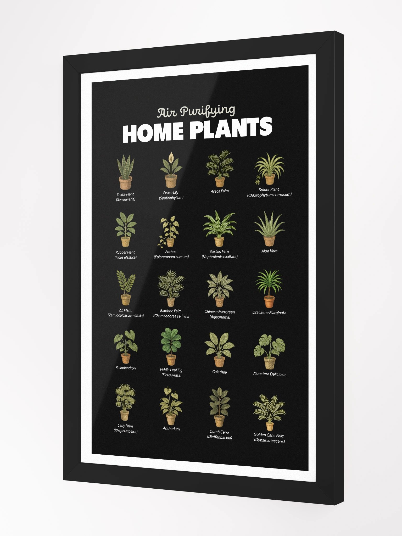 Air Purifying Home Plants Framed Art Print product image (6)
