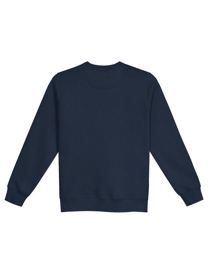 Silver Lining Embroidered Sweatshirt product image (2)