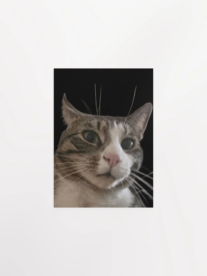 He is not pleased! product image (1)