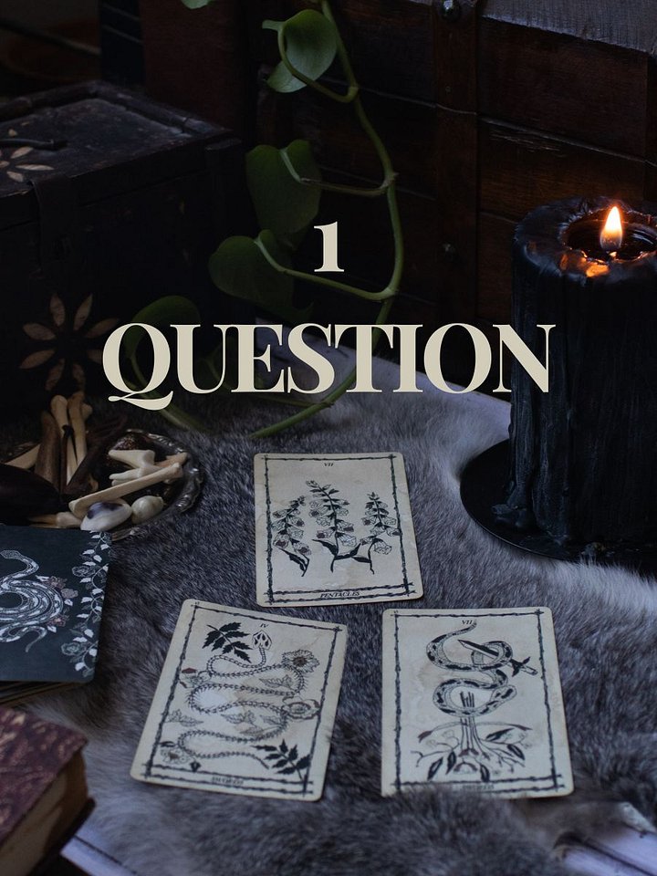 1 Question Reading product image (1)