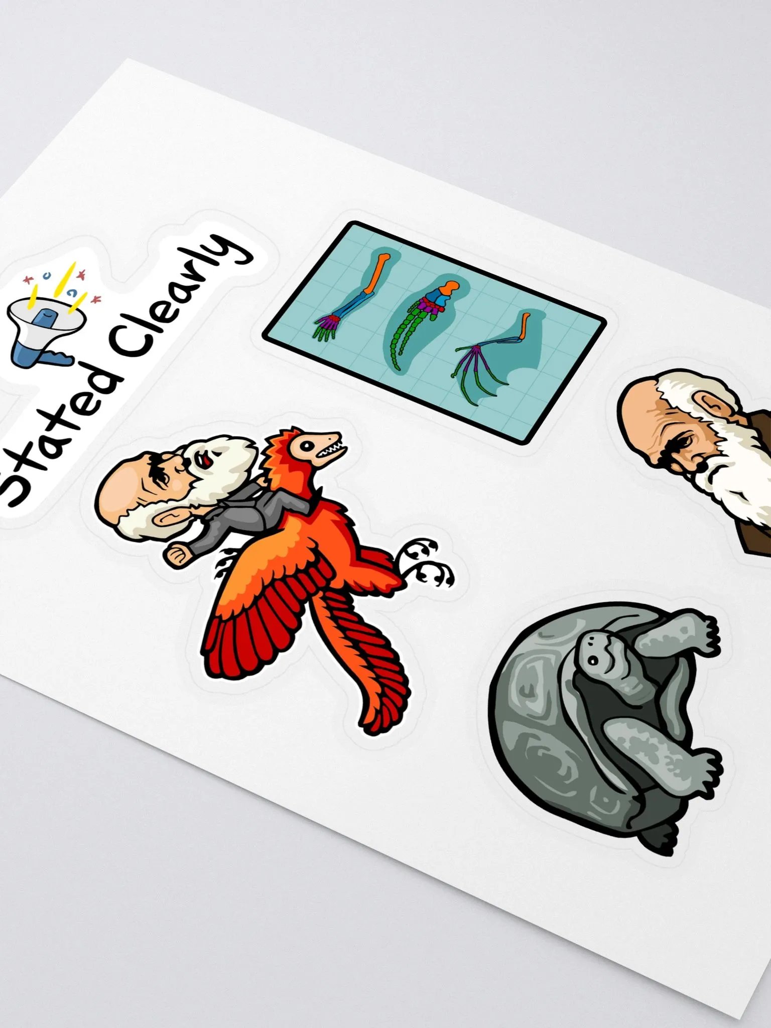 Darwin Evolution Sticker Sheet product image (3)