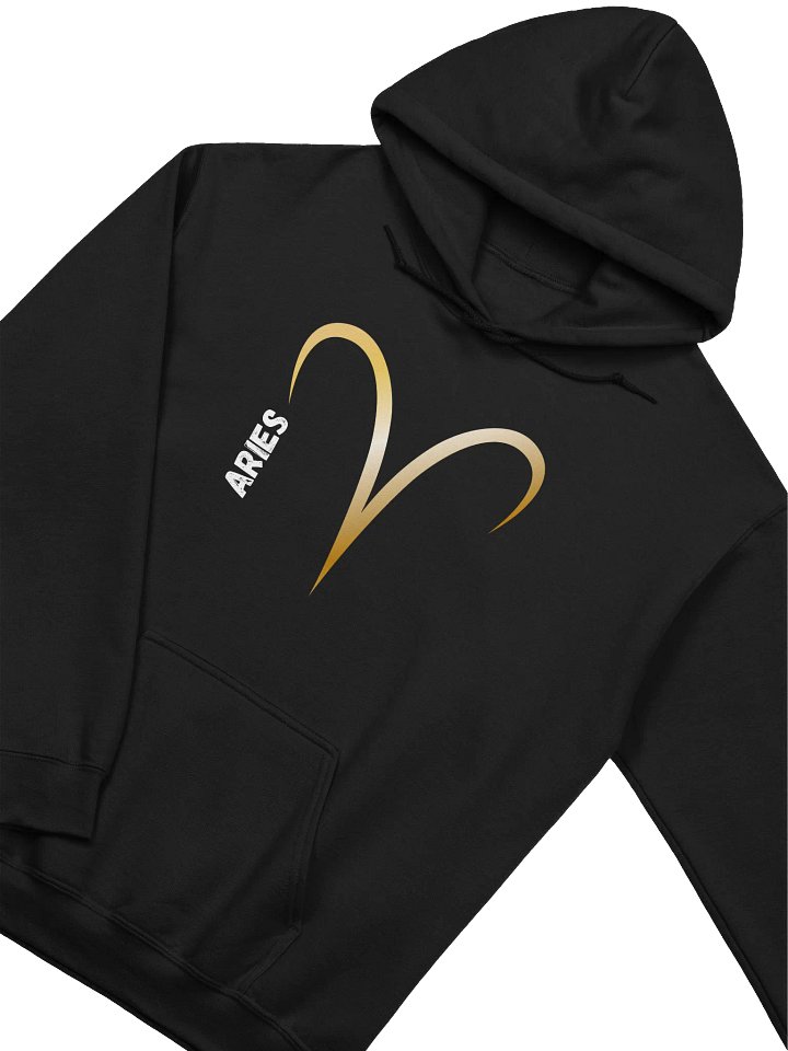 Aries Golden Symbol Hoodie product image (2)