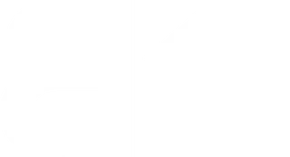 Buffalo Trees Merch Store