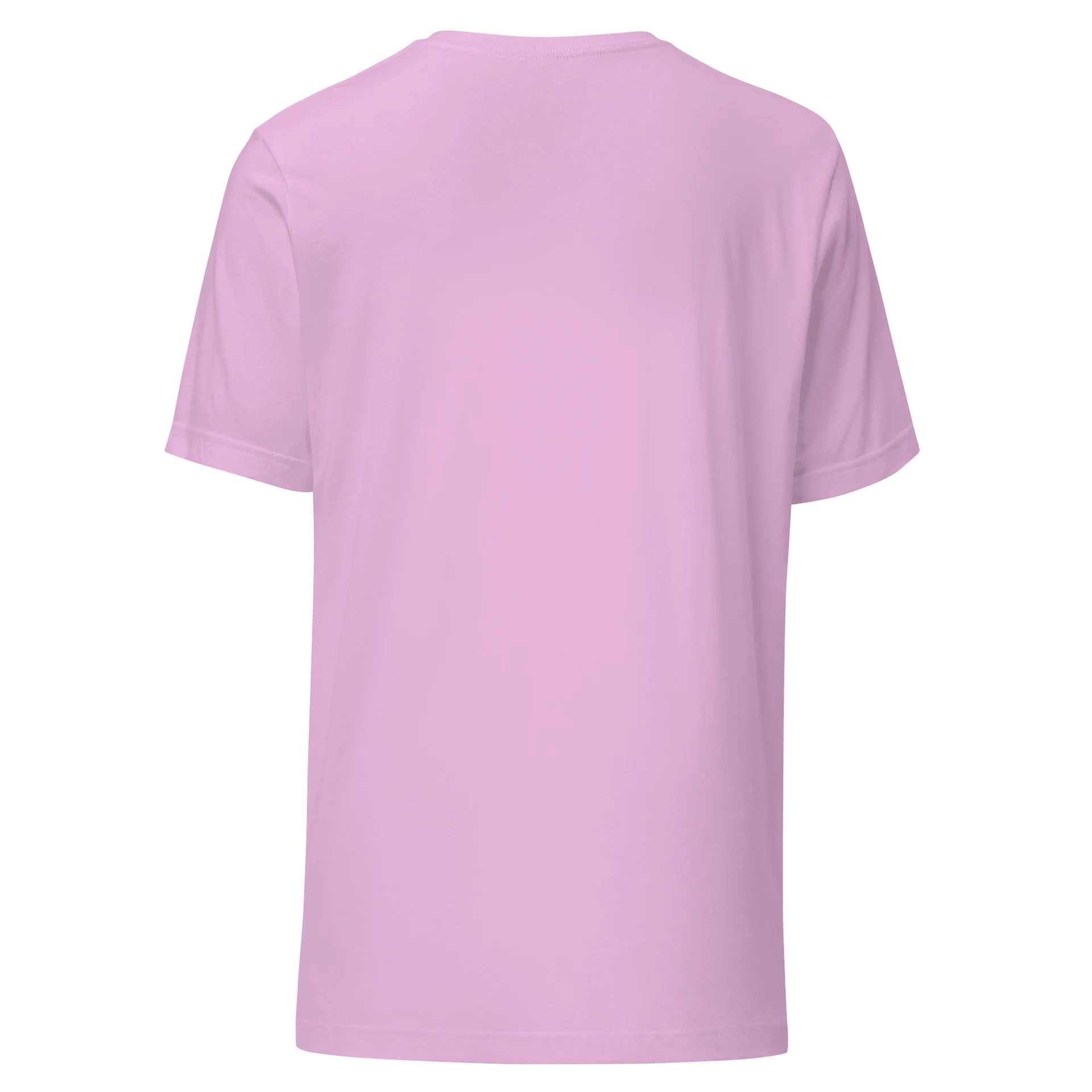 Ethereal Songbird Silhouette Tee product image (15)