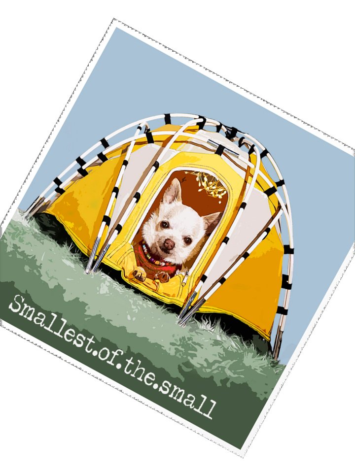 Mr. Pink Yellow Tent Stiker product image (2)