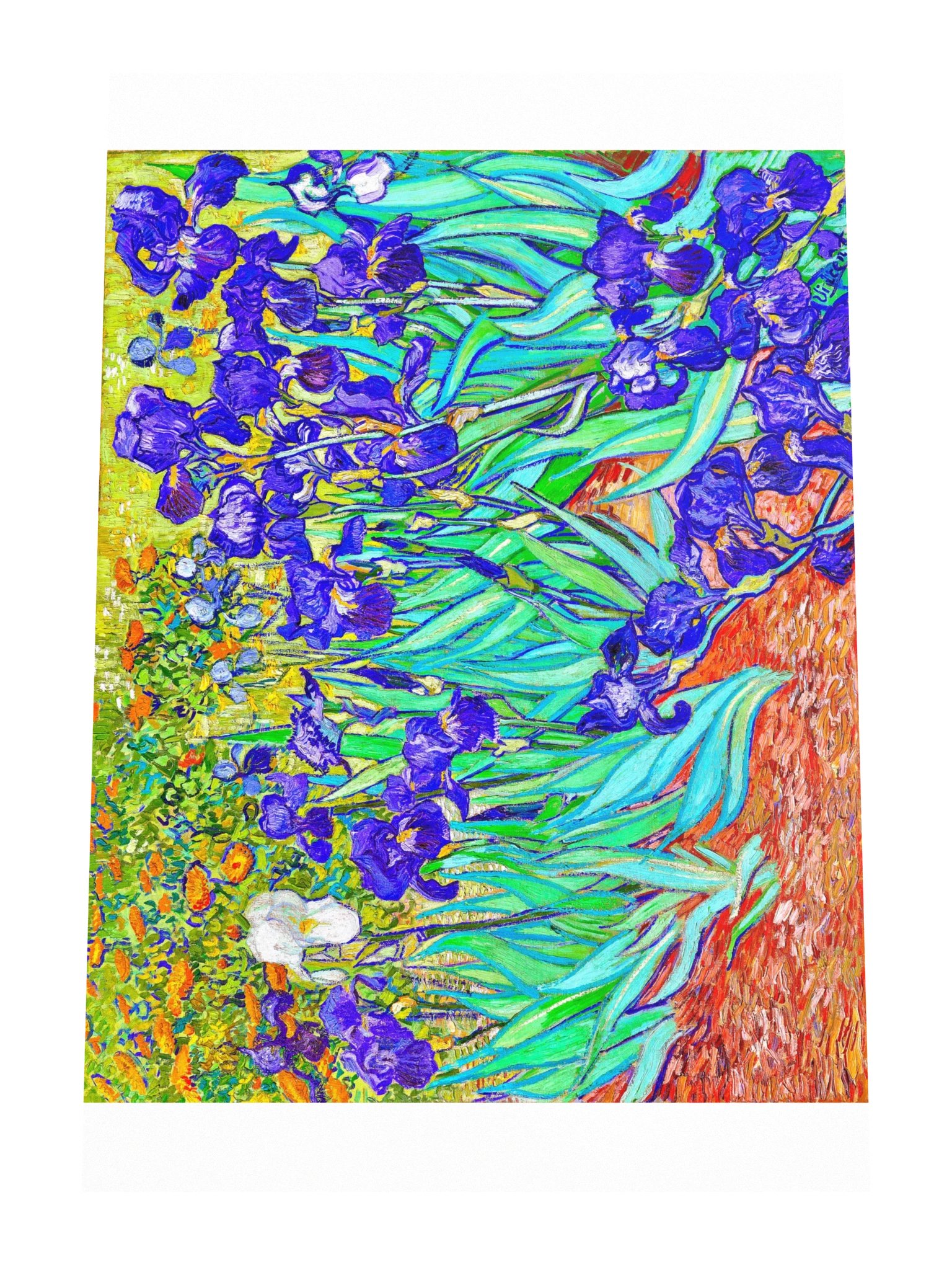 Irises — XLarge Poster product image (4)