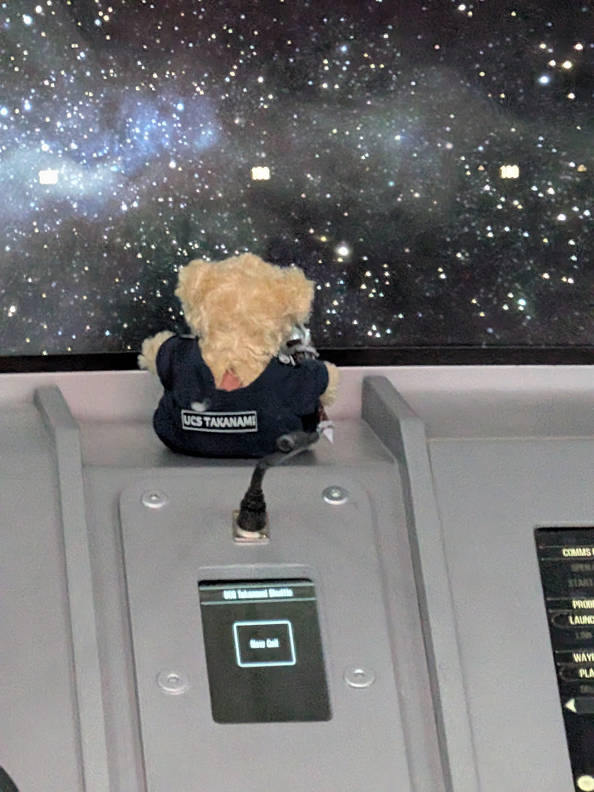 Replica Torchbear product image (4)