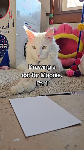 Day 145 of sharing my art. 🌈 

#artist #devantheartist #artbydevan #cute #catsofinstagram