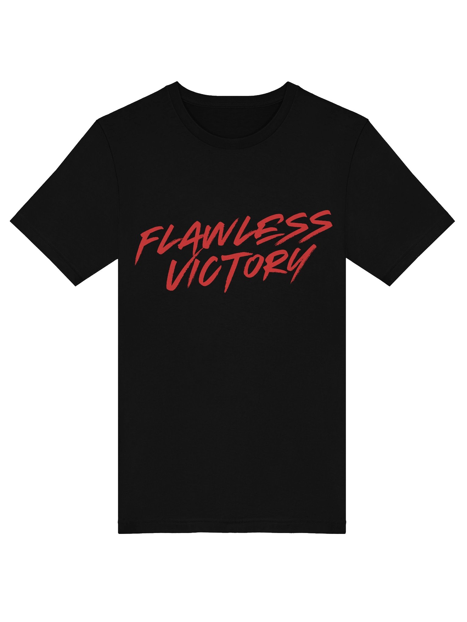 FLAWLESS VICTORY Brushstroke Tee product image (5)