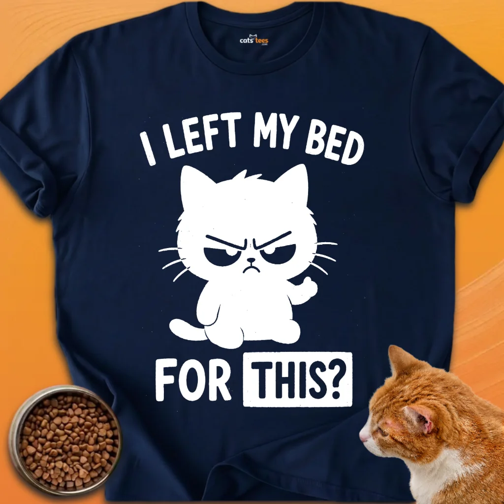 I Left My Bed For This? product image (3)