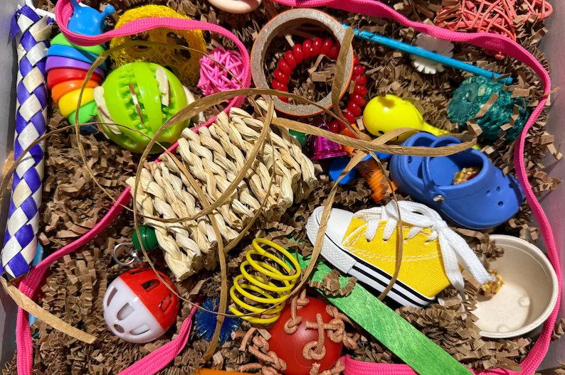 Busy Beaks Toy Box product image (2)