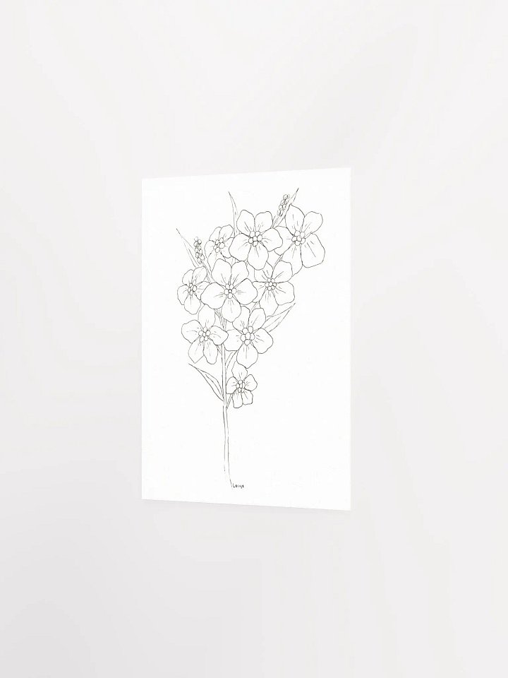 Forget-Me-Not Line Art Poster product image (2)