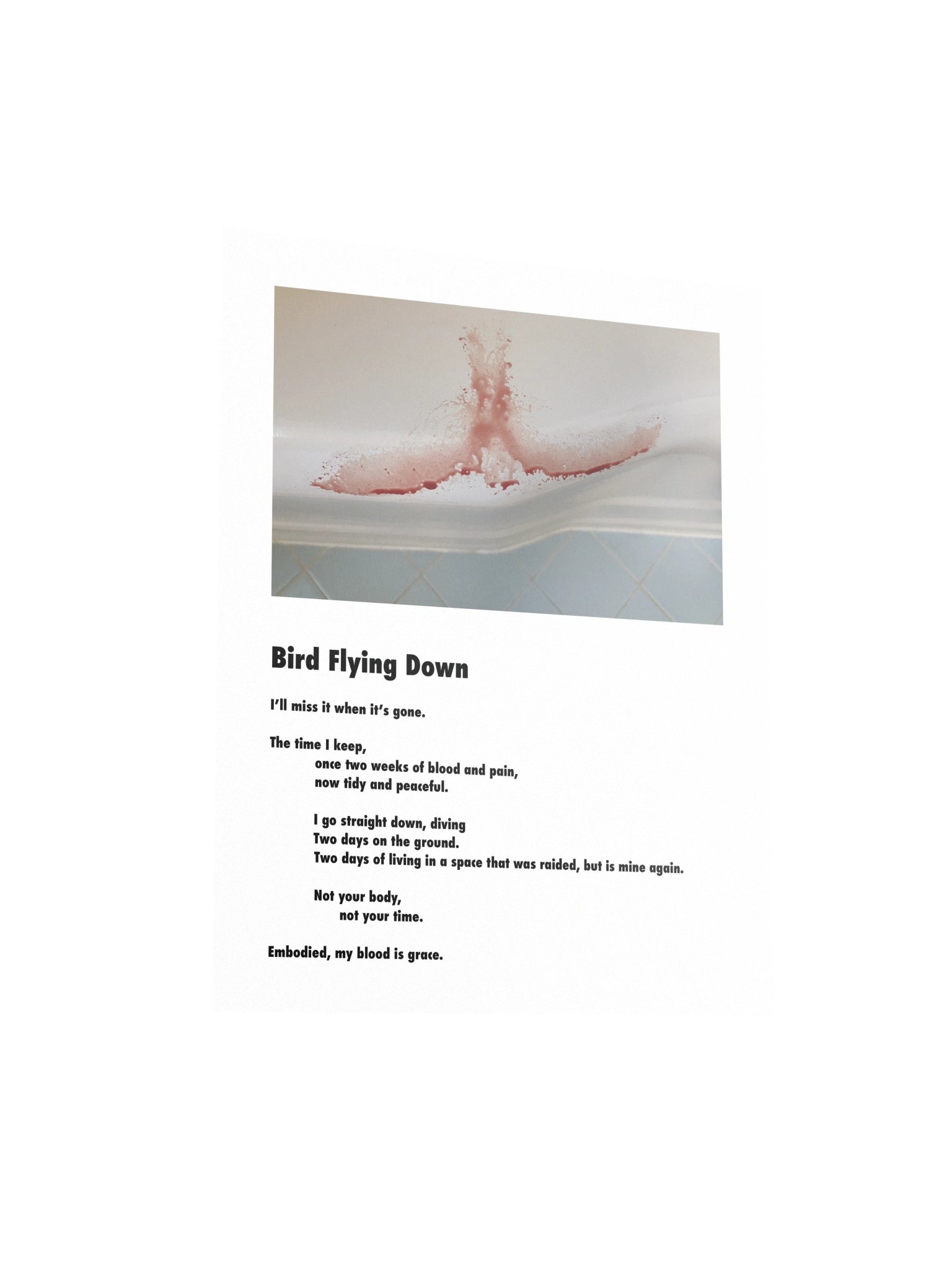 Bird Flying Down Poster product image (3)
