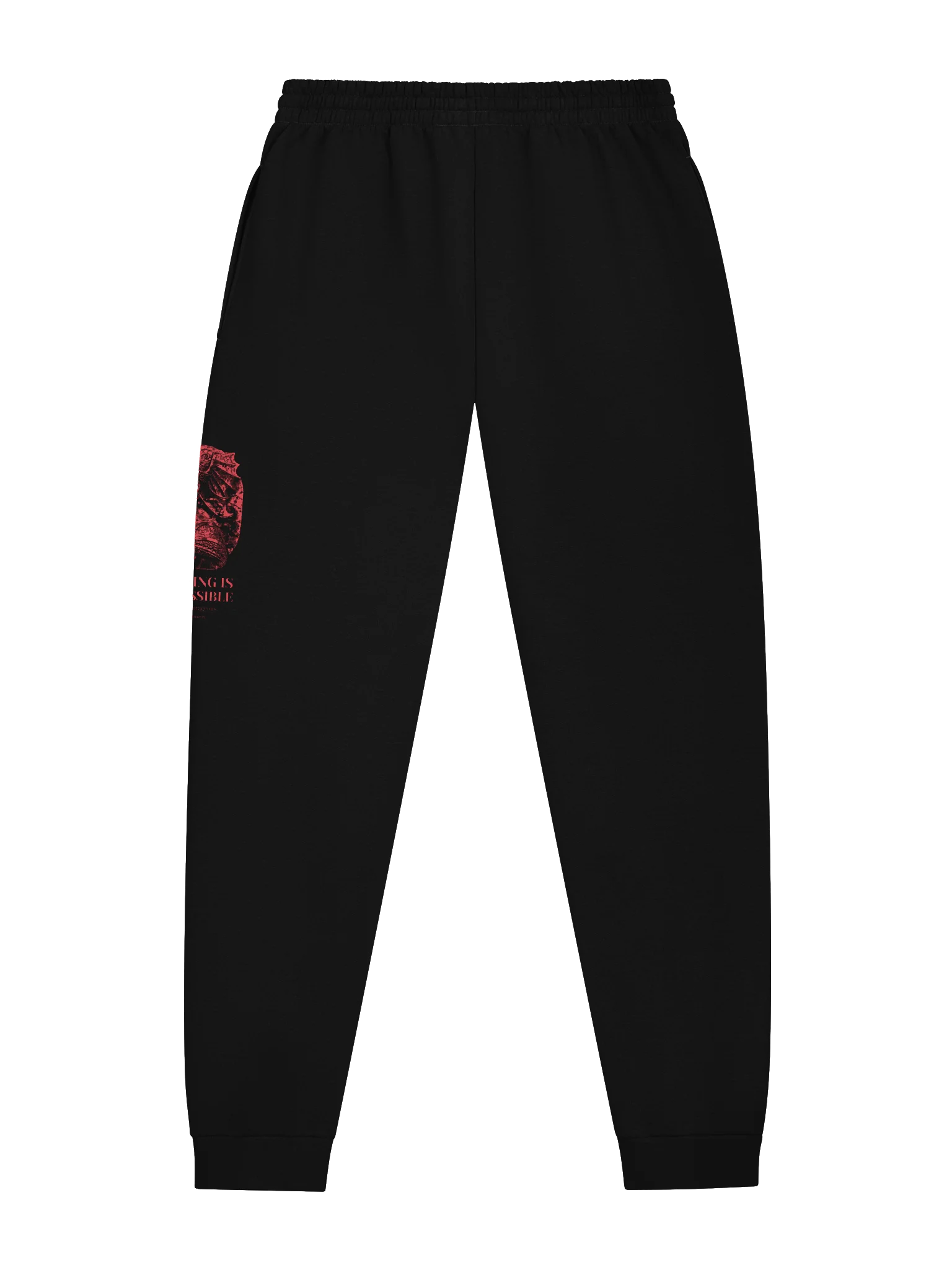 Alexander Nothing Is Impossible - Joggers product image (4)