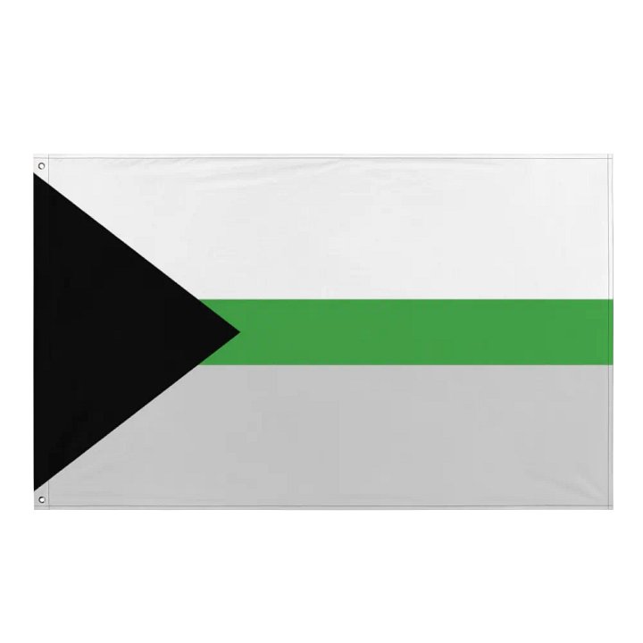 Demiromantic Flag product image (1)