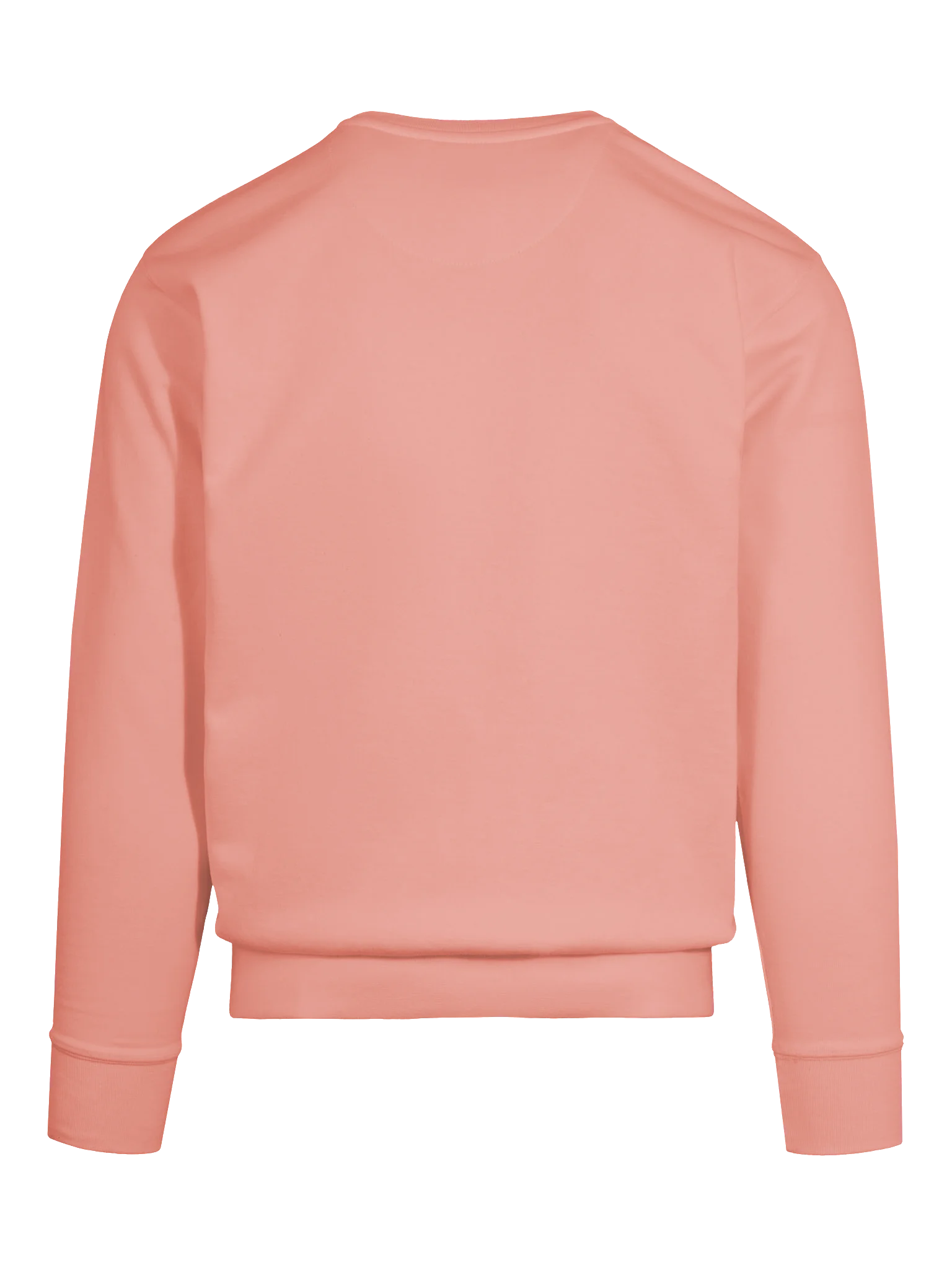 Chatty Pumpkin Premium Sweatshirt | Cozy Chatty Fall Collection product image (6)