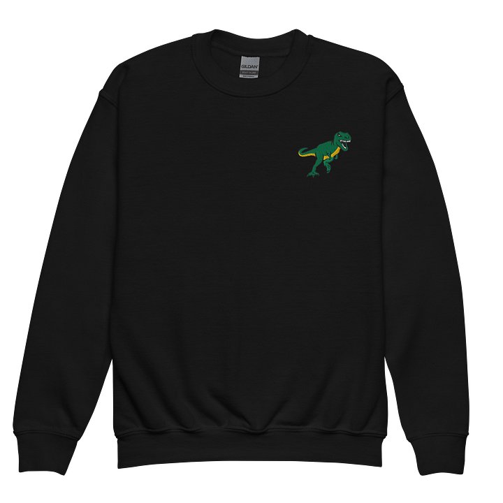 Youth Tyrannosaurs Rex Embroidered Sweatshirt product image (1)