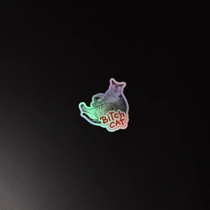 Special Edition Holographic Bitch Cat product image (4)