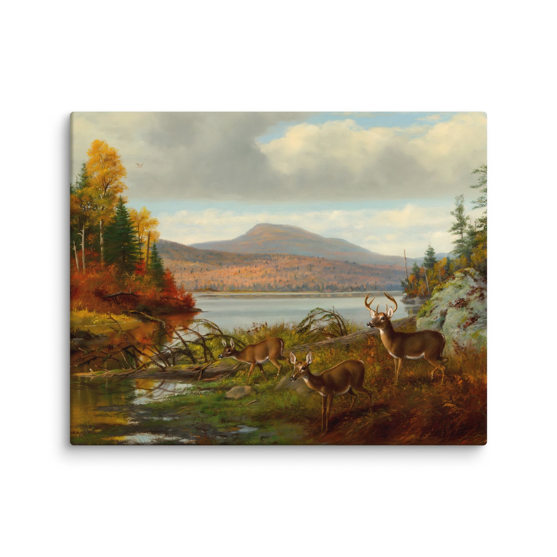 Antique Whitetail Deer in Fall Landscape Canvas Print product image (6)