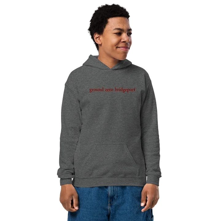 kids classic hoodie product image (1)