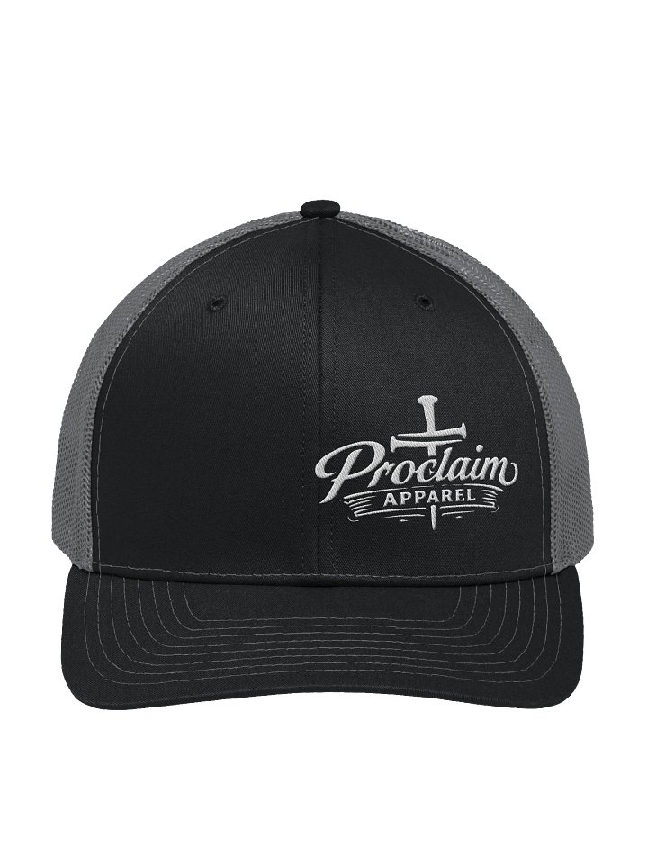 Proclaim Boldness Snapback product image (3)