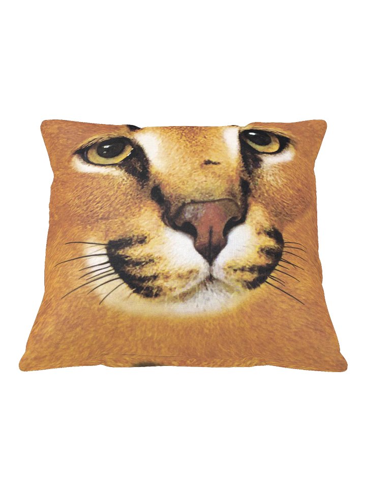 Cute "GOSHA FACE" Pillow product image (2)