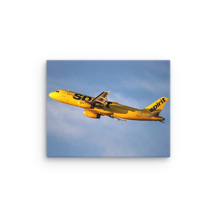 Spirit Airlines Thin Canvas product image (5)