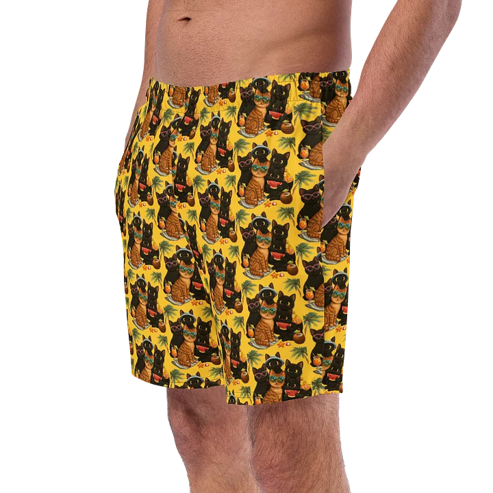 Cat brigade summer Swim Shorts product image (2)