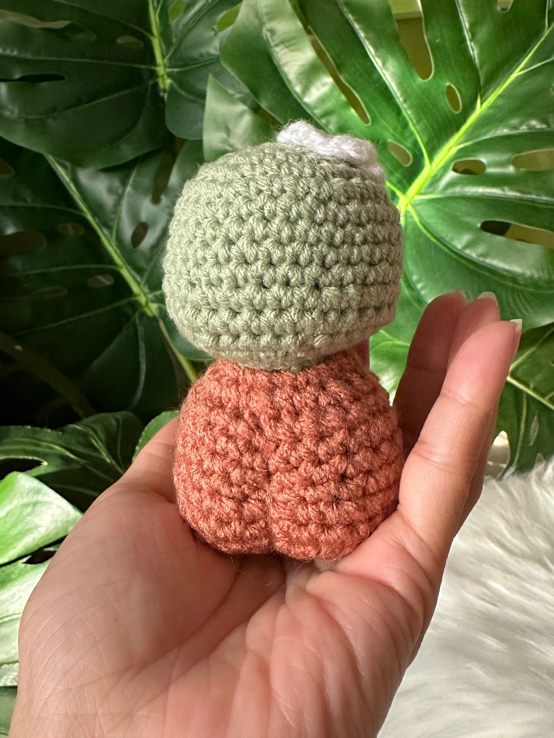 Baby Bonsai product image (3)