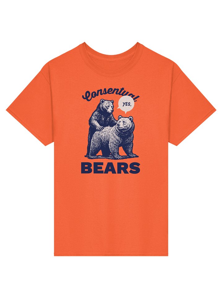 Consentual Bears - Heavyweight Shirt product image (1)