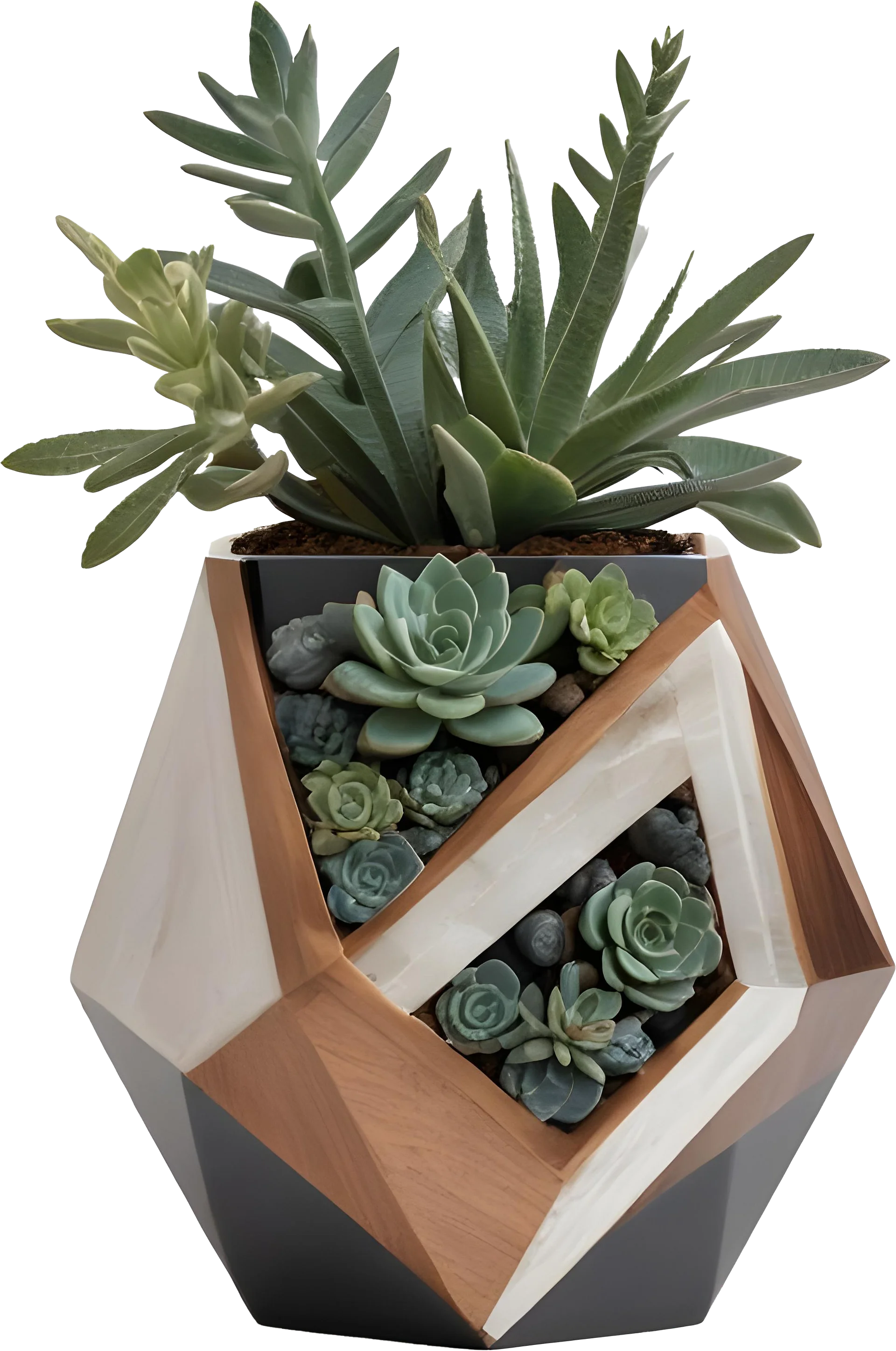 Earthly Symphony – Boho Chic Pot with Plant PNG product image (1)