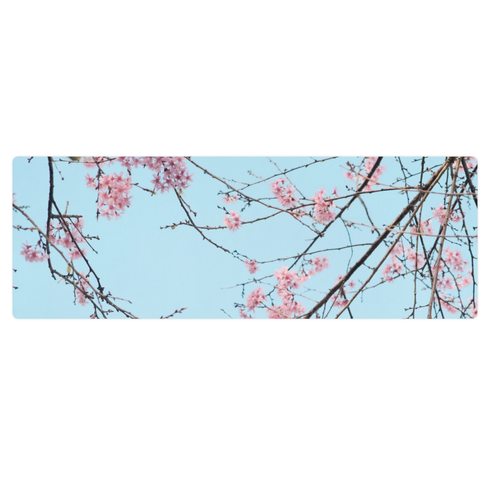 Rooted product image (3)