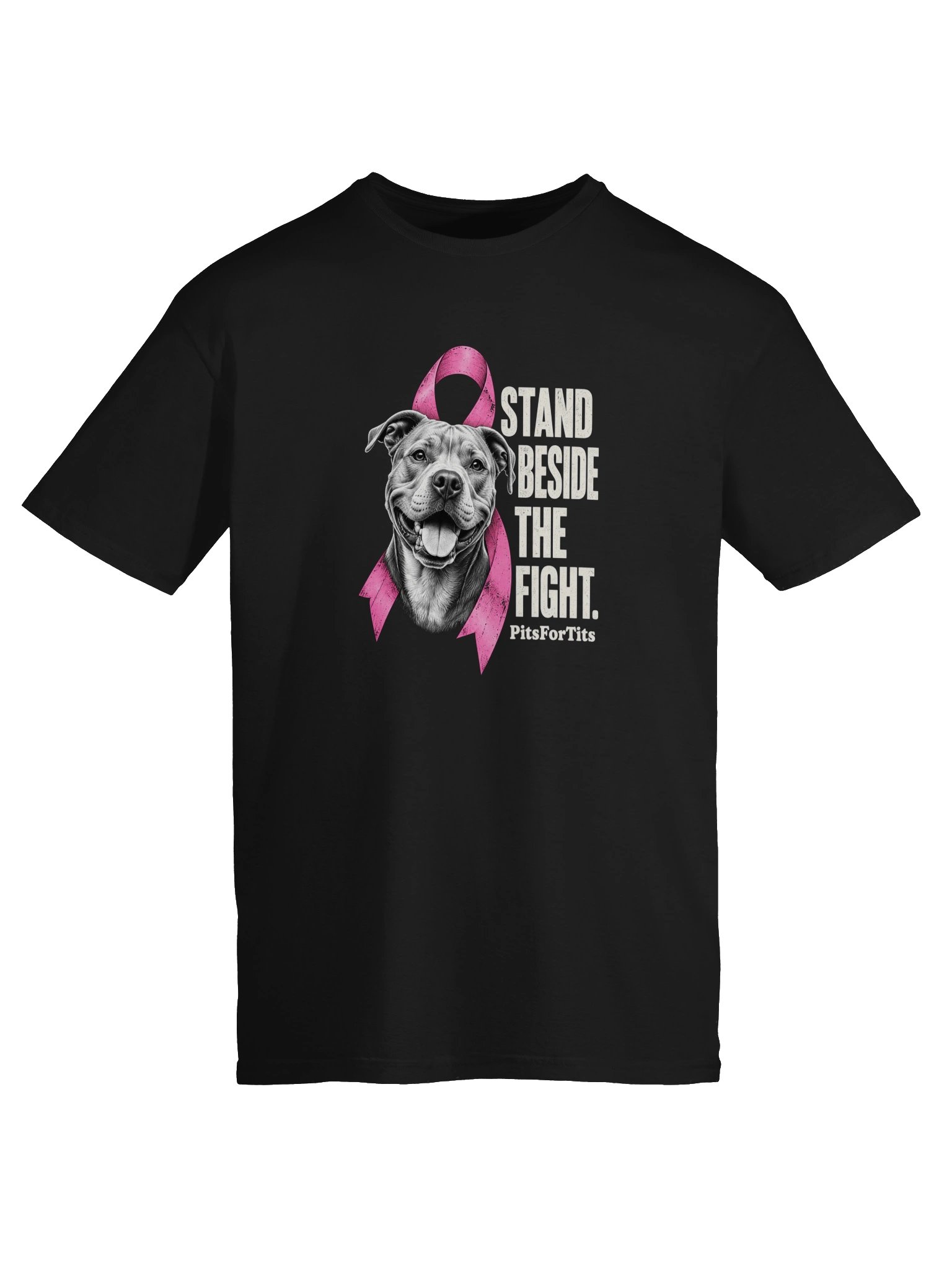 STAND BESIDE THE FIGHT. product image (31)