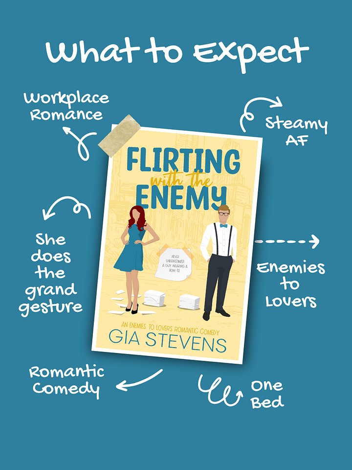 Flirting with the Enemy product image (2)