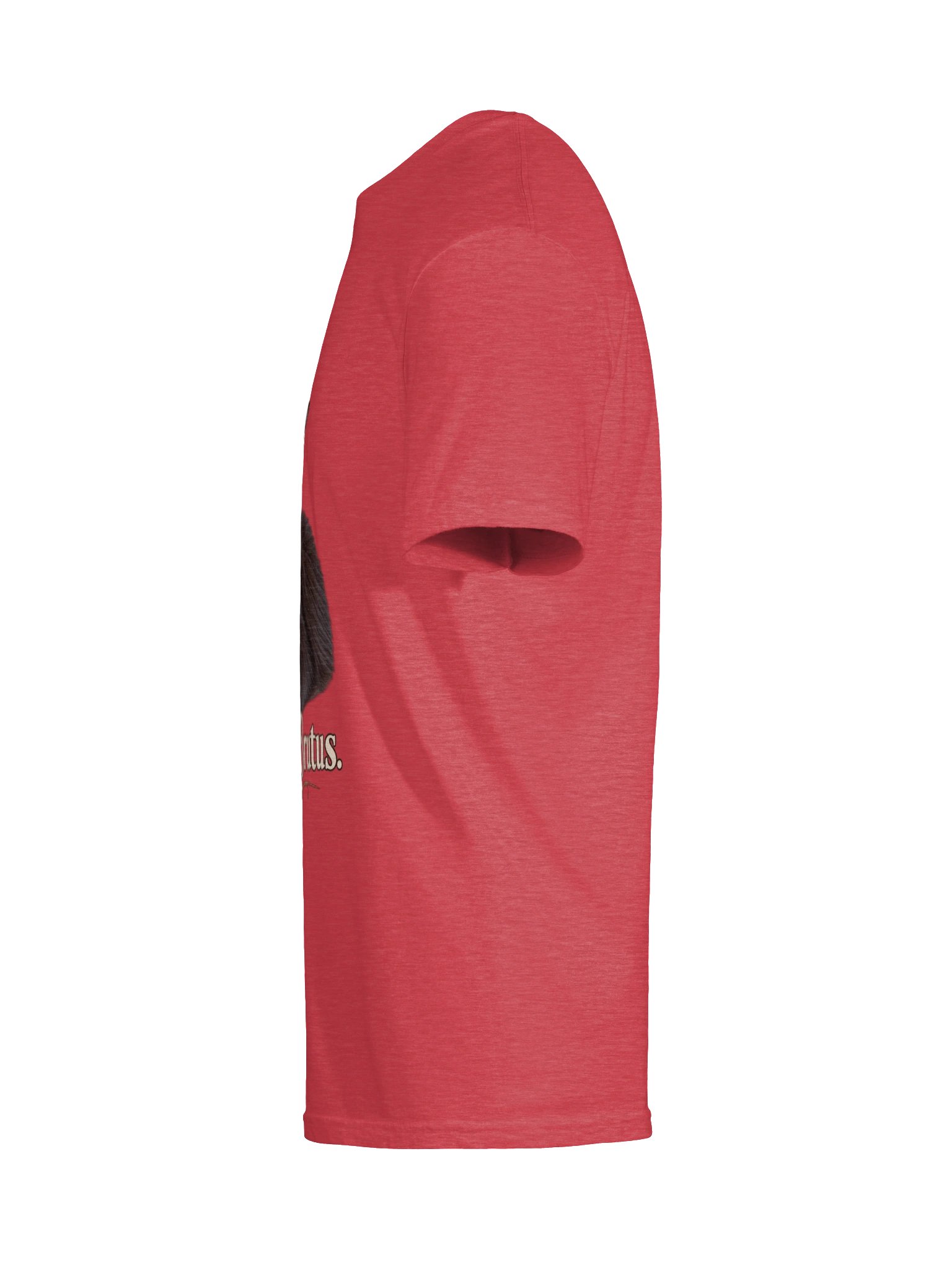 Because...Brutus Classic T-Shirt product image (9)
