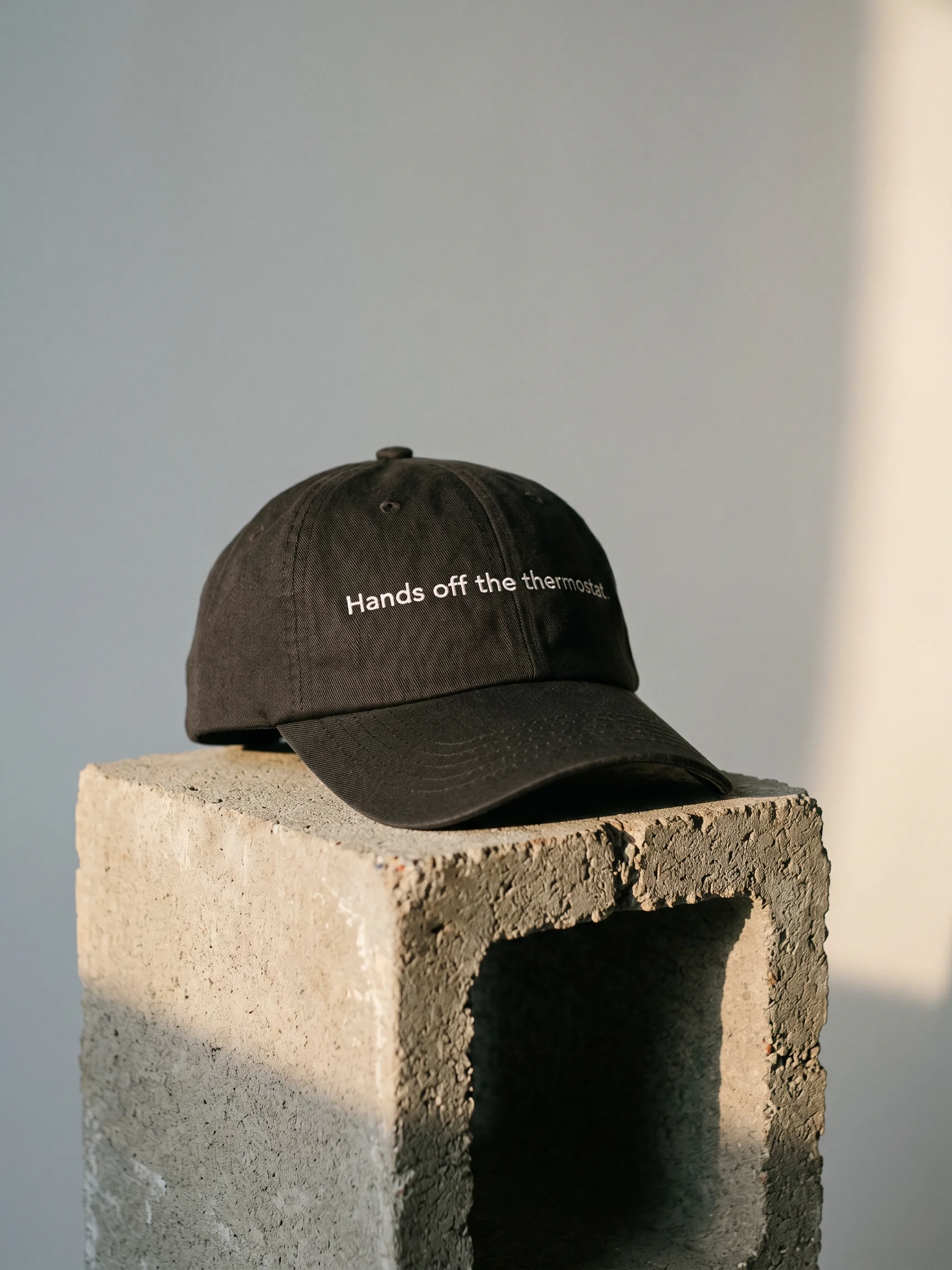 thermostat dad hat product image (1)