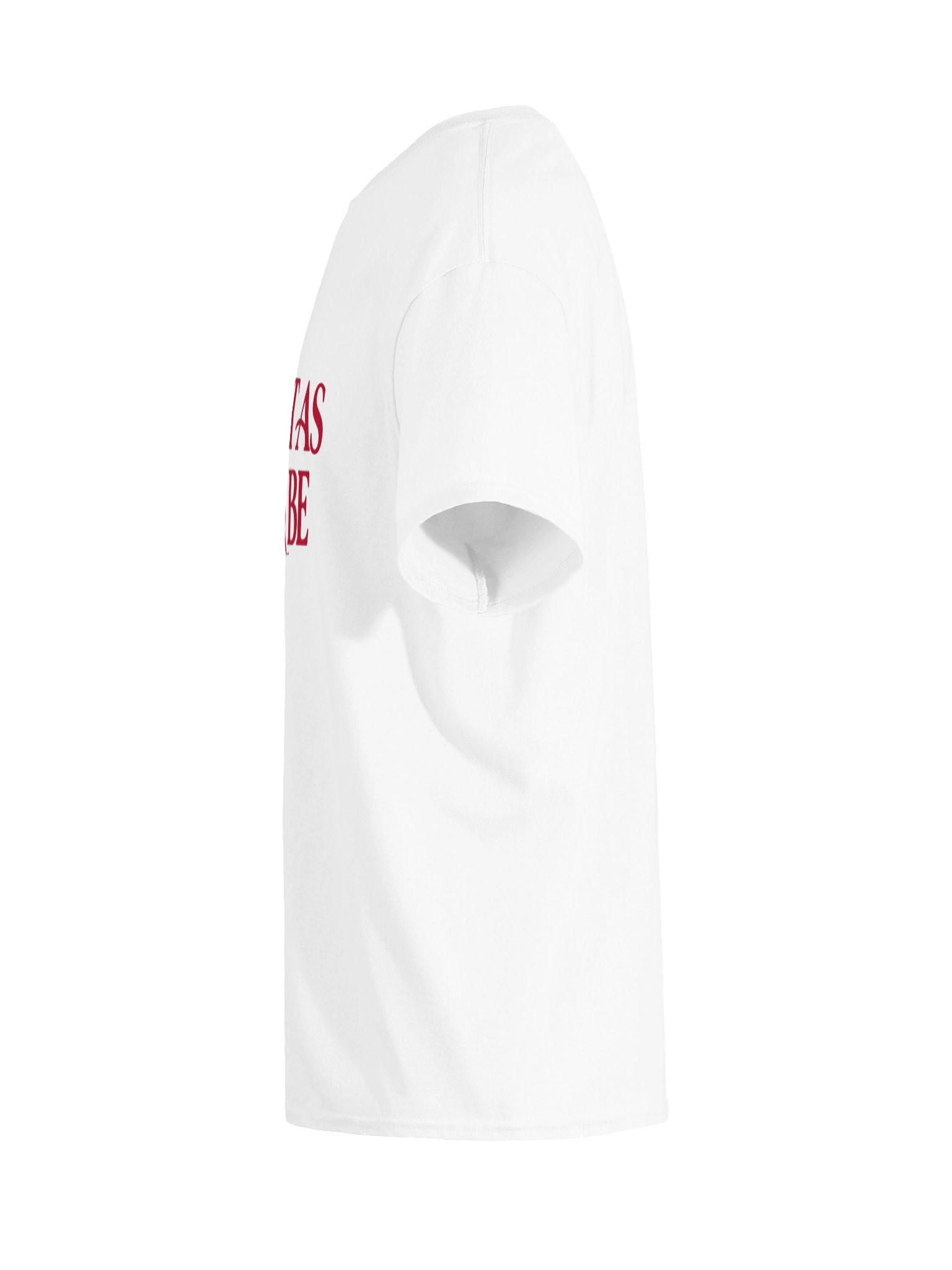 Sweet As Can Be Streetwear Tee | Bold Logo Graphic product image (61)