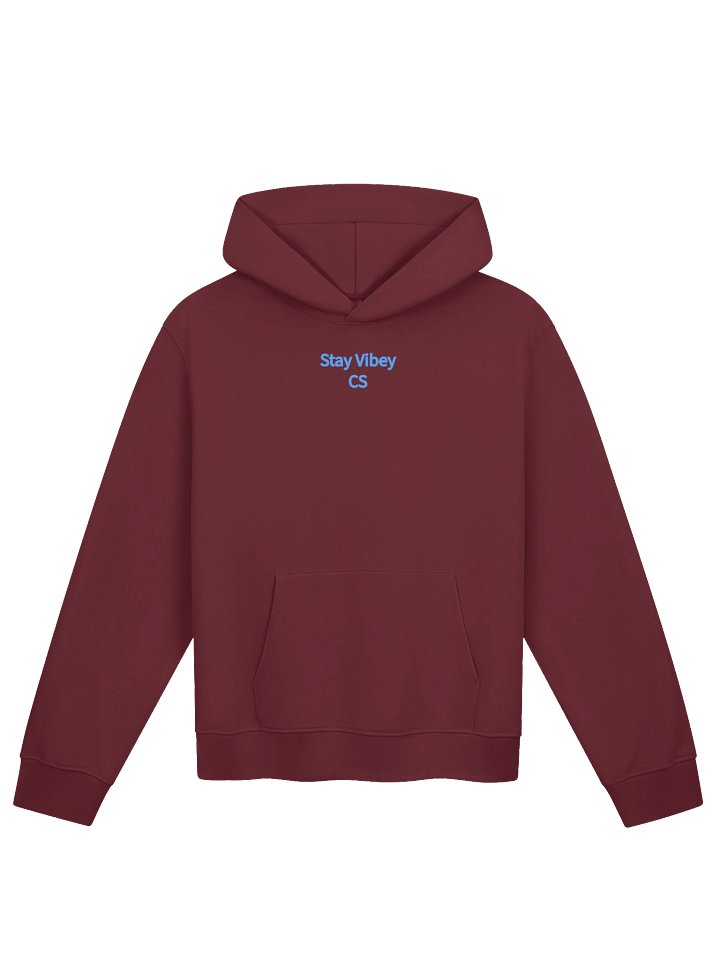 Stay Vibey, CS Oversized Hoodie product image (37)