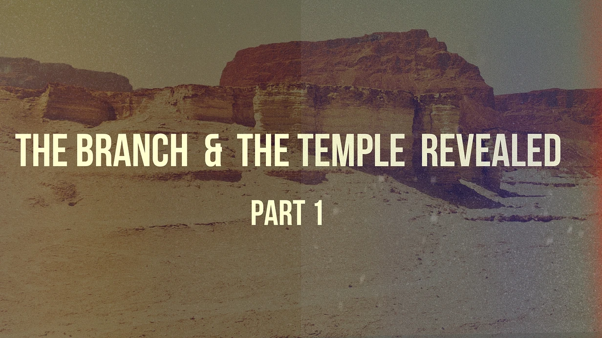 New video thumbnail