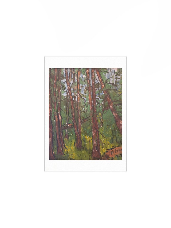 Chambers Lake Print product image (7)